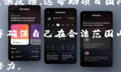   VSYS虚拟币：深度解析与