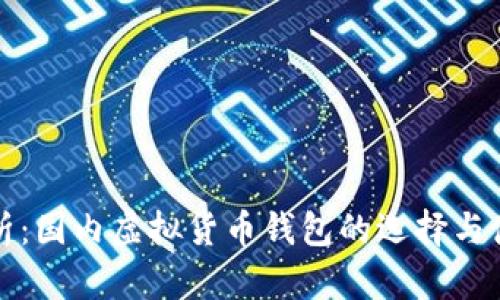 全面解析：国内虚拟货币钱包的选择与使用指南