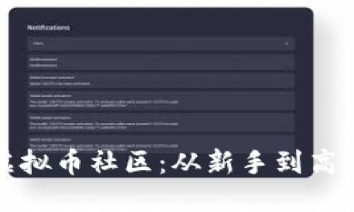 探索新加坡虚拟币社区：从新手到高手的全面指南