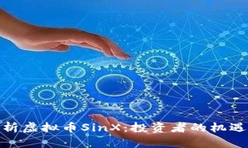 全面解析虚拟币SinX：投资者的机遇与风险