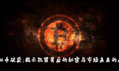 虚拟币破获：揭示犯罪背