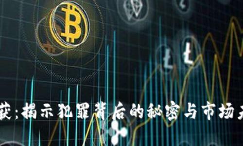 虚拟币破获：揭示犯罪背后的秘密与市场未来的展望