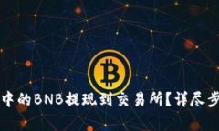 如何将TP钱包中的BNB提现到