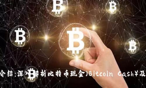 虚拟币BTH介绍：深入解析比特币现金（Bitcoin Cash）及其市场影响