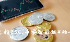 TP钱包支持BSC（币安智能链