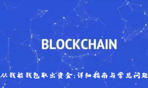 如何从钱能钱包取出资金：详细指南与常见问题解答