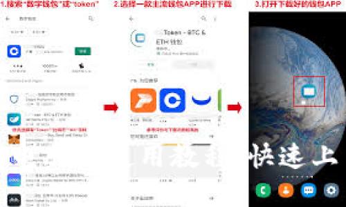 tp钱包电脑版使用教程：快速上手指南