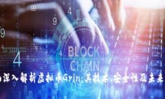 全面深入解析虚拟币Grin：