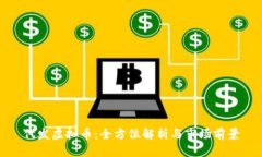 代发虚拟币：全方位解析