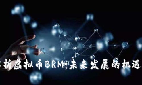 深度解析虚拟币BRM：未来发展的机遇与挑战