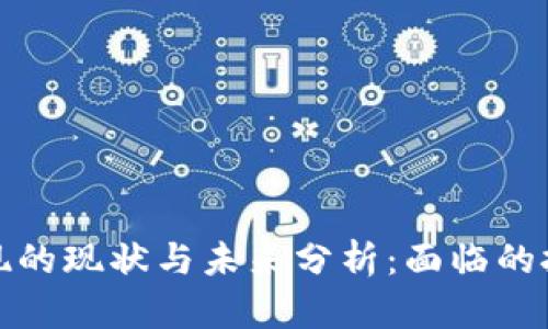 虚拟币提现的现状与未来分析：面临的挑战与机遇