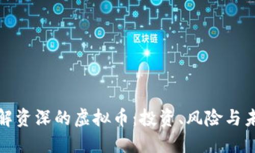 深入理解资深的虚拟币：投资、风险与未来趋势