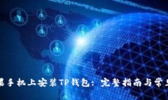 如何在苹果手机上安装T