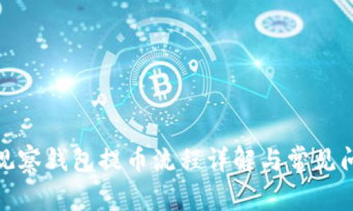 tp观察钱包提币流程详解与常见问题