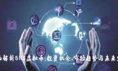 全面解析BNS虚拟币：投资