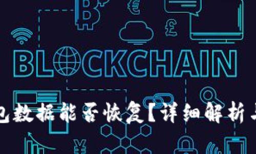 删除TP钱包数据能否恢复？详细解析与解决方案