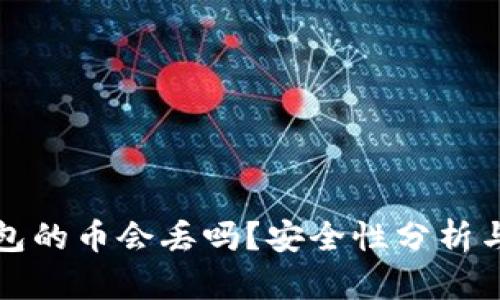 放在TP钱包的币会丢吗？安全性分析与用户指南