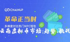 : 探索云南虚拟币市场：趋