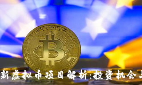    
2023年最新虚拟币项目解析：投资机会与市场洞察