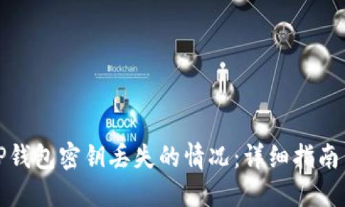 如何处理TP钱包密钥丢失的情况：详细指南与解决方案