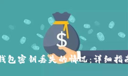 如何处理TP钱包密钥丢失的情况：详细指南与解决方案