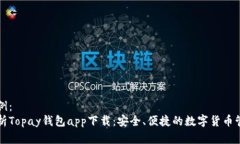 内容示例：深入解析Topa