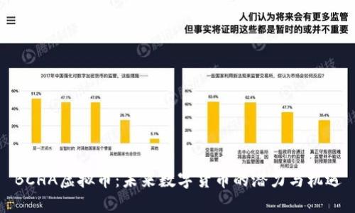 BCHA虚拟币：未来数字货币的潜力与机遇