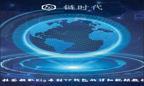  抹茶提取Pig币到TP钱包的详细视频教程