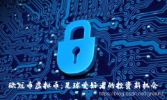 欧冠币虚拟币：足球爱好