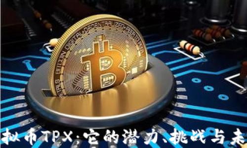 
探索虚拟币TPX：它的潜力、挑战与未来发展