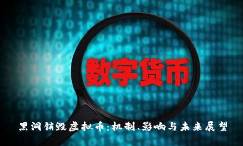 黑洞销毁虚拟币：机制、影响与未来展望