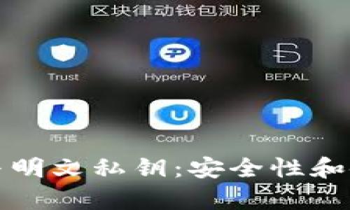 TP钱包私钥与明文私钥：安全性和使用技巧解析