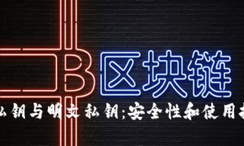 TP钱包私钥与明文私钥：安全性和使用技巧解析
