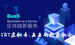 深入解析SIGT虚拟币：未来