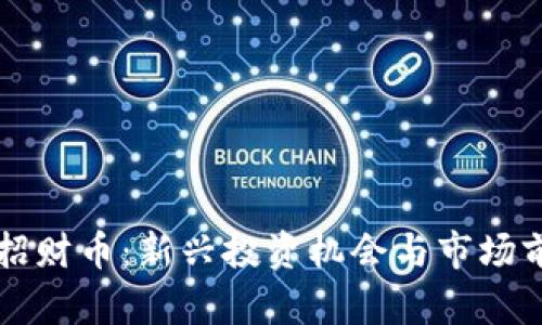 虚拟币招财币：新兴投资机会与市场前景分析