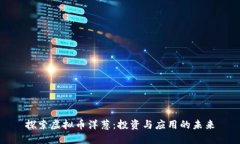 探索虚拟币洋葱：投资与