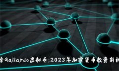 探索Gallardo虚拟币：2023年