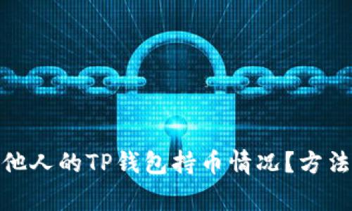 : 如何查看他人的TP钱包持币情况？方法与注意事项