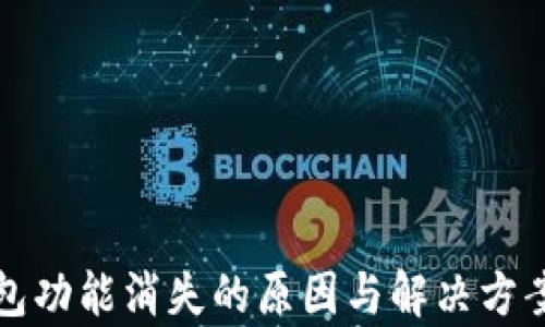 
TP钱包功能消失的原因与解决方案解析