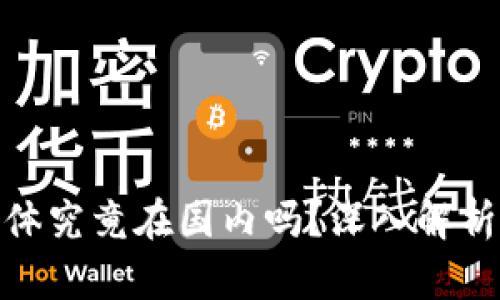 TP钱包的主体究竟在国内吗？深入解析与投资风险