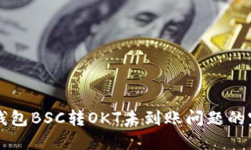 解决TP钱包BSC转OKT未到账问题的完整指南