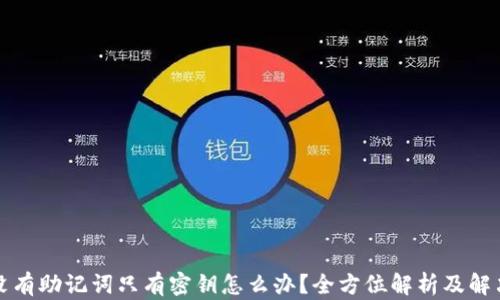 
钱包没有助记词只有密钥怎么办？全方位解析及解决方案