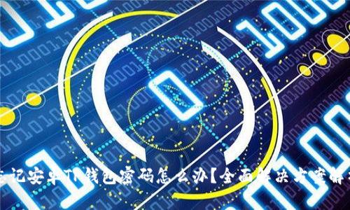 忘记安卓TP钱包密码怎么办？全面解决方案解析