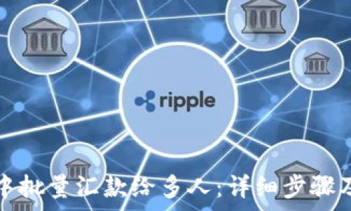   
如何在TP钱包中批量汇款给多人：详细步骤及常见问题解答
