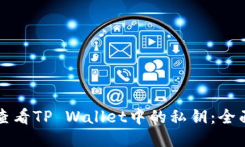 如何查看TP Wallet中的私钥：全面指南