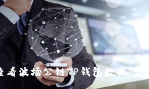 tags
如何查看波场公链TP钱包数据：完整指南