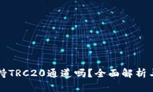 tP钱包支持TRC20通道吗？全面解析与用户指南