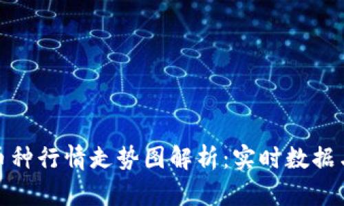 TP钱包的币种行情走势图解析：实时数据与交易策略