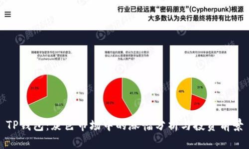 TP钱包：灰色市场中的涨幅分析与投资前景