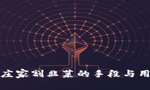 揭秘虚拟币庄家割韭菜的手段与用户防范技巧